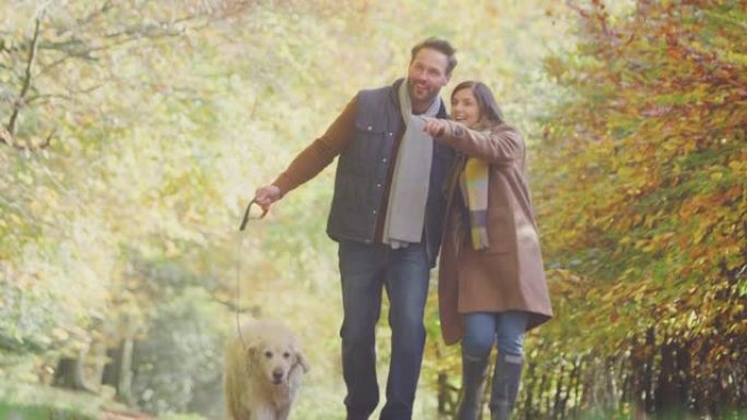 夫妇带着宠物金毛寻回犬在秋天的乡村牵手走在轨道上