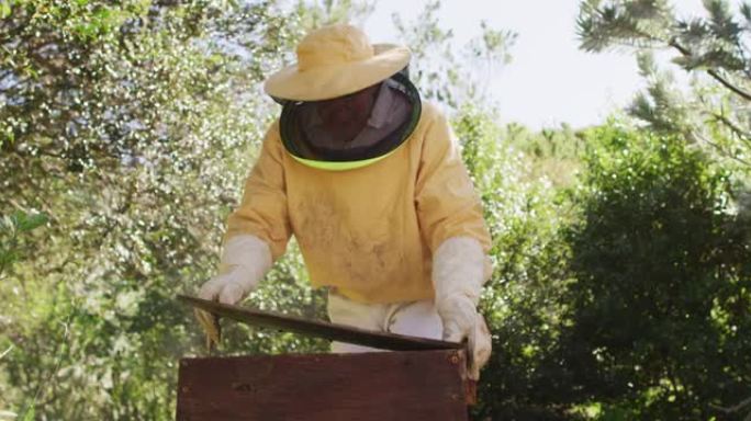 白人男性养蜂人穿着防护服打开蜂箱