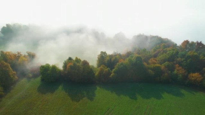 空中: 秋季风景如画的丘陵乡村被晨雾覆盖