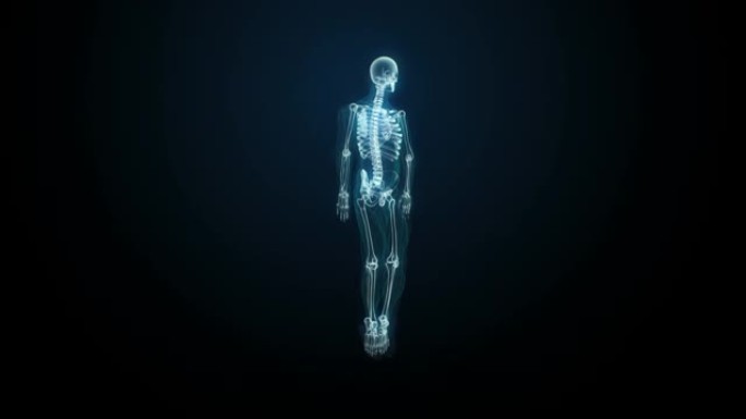 旋转人体骨骼结构，骨骼系统，蓝色x射线光。4k动画。
