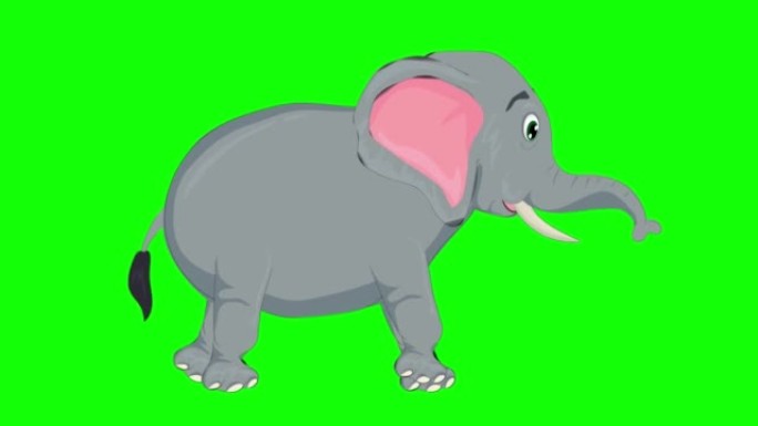在绿屏上运行可爱又累的大象慢动作动画。动物，野生动物，游戏，返校的概念，3d动画，电影，有机，色键，