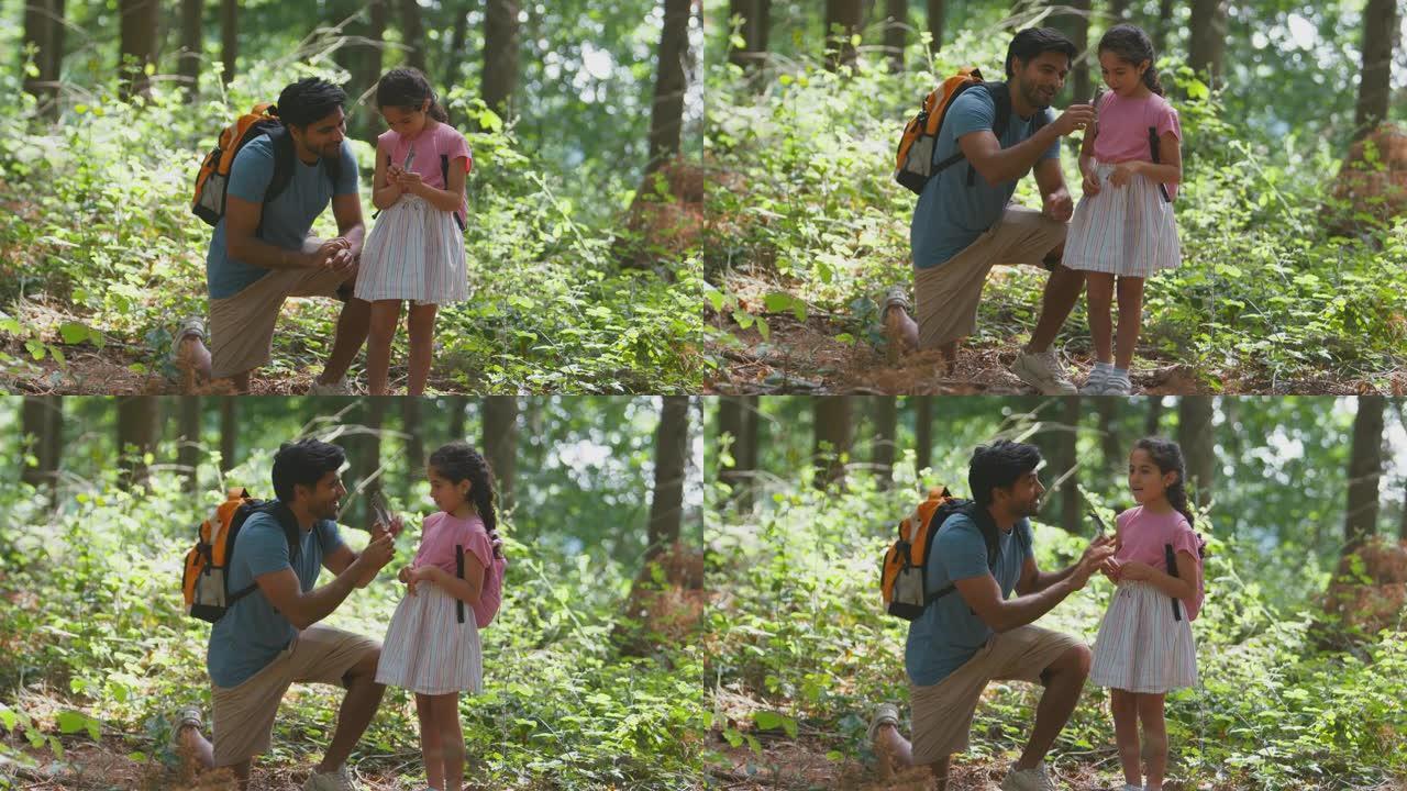父亲带着女儿在夏季林地乡村漫步时看着羽毛
