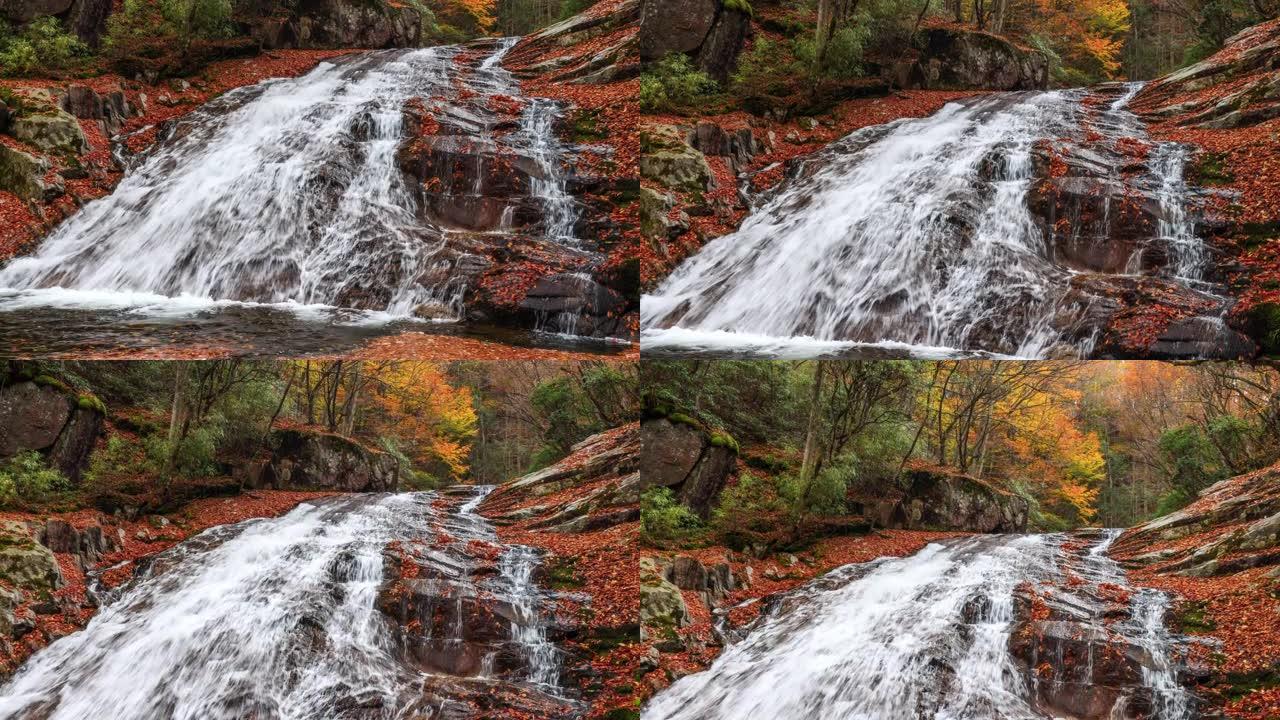 秋天的山谷里，瀑布流淌着落叶