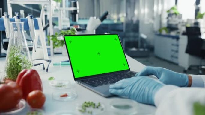 在带有绿屏模拟显示的笔记本电脑上工作的男性科学家。微生物学家是拥有先进技术设备的明亮现代食品实验室中
