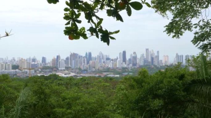 郁郁葱葱的大都会自然公园俯瞰着巴拿马城的高层建筑。