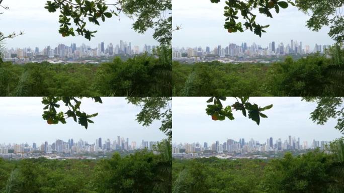郁郁葱葱的大都会自然公园俯瞰着巴拿马城的高层建筑。