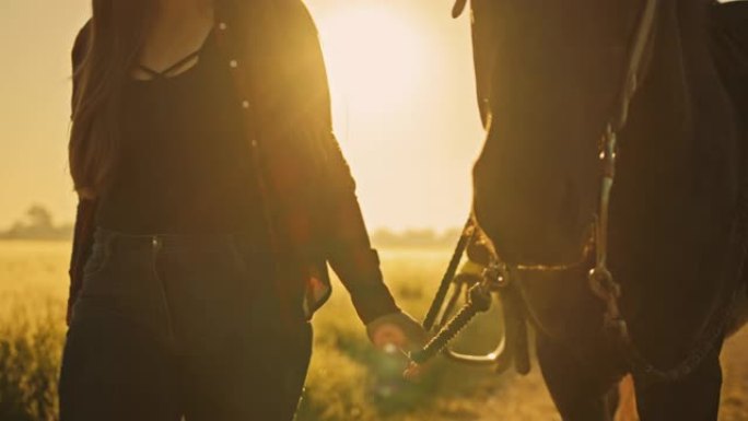 日落时分，SLO MO年轻女子在耕地上骑马