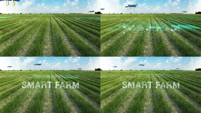 无人机扫描农场，分析田野，智能农业连接 '智能农场'，4k电影。
