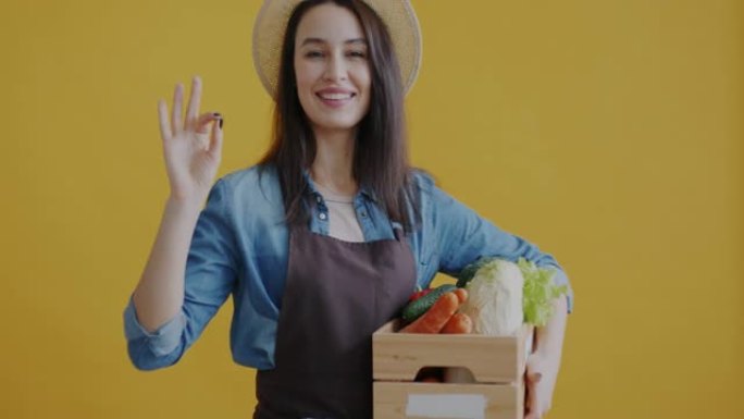 欢快的年轻农民的肖像在黄色背景上拿着带有生蔬菜的木箱做OK手势