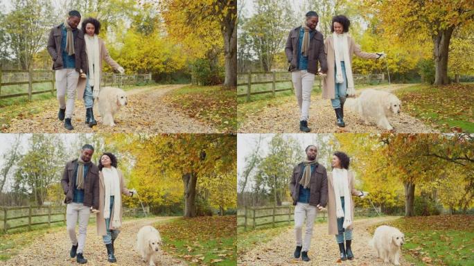 夫妇与宠物金毛寻回犬在秋天的乡村散步