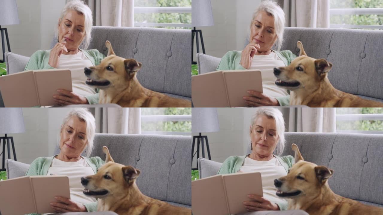 老年妇女专注于在日记中写笔记，并与她的宠物狗坐在沙发上。退休的严肃女人周末在家放松，并在客厅里与她的