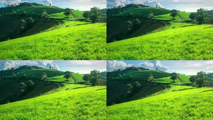 晴天清迈的时光流逝美丽的草地