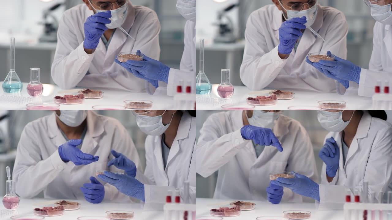 在实验室中尝试肉类样品