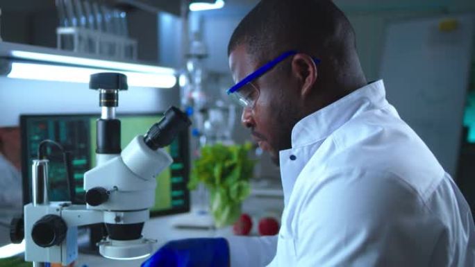 黑人科学家在显微镜下检查番茄