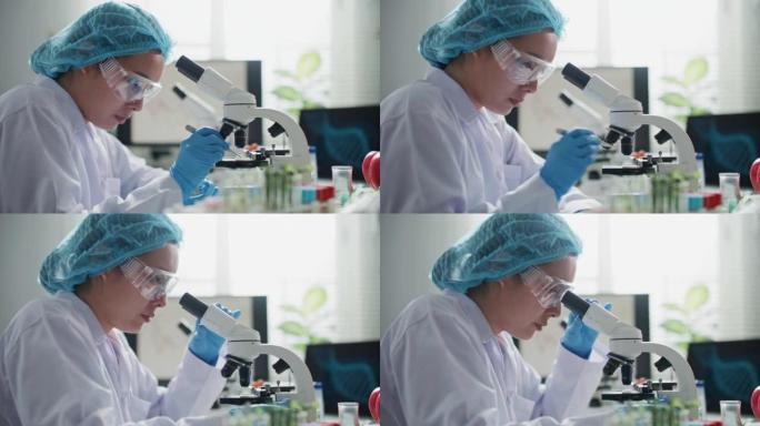 亚洲女农学家科学家在实验室中使用显微镜