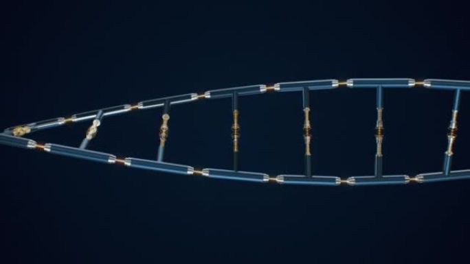 将机械DNA放在带有复制空间的黑色背景上，以进行未来设计