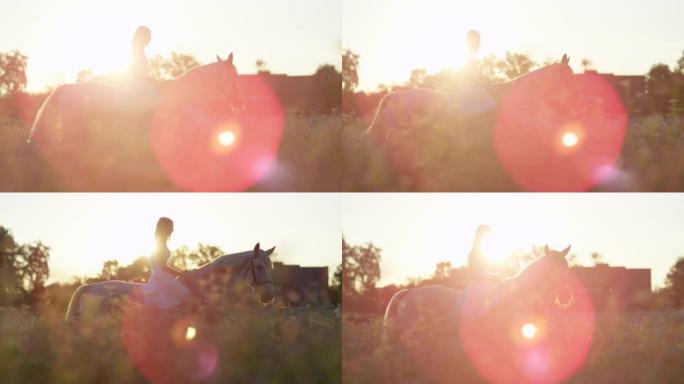 镜头耀斑: 年轻的白人妇女在金色的乡村骑马。