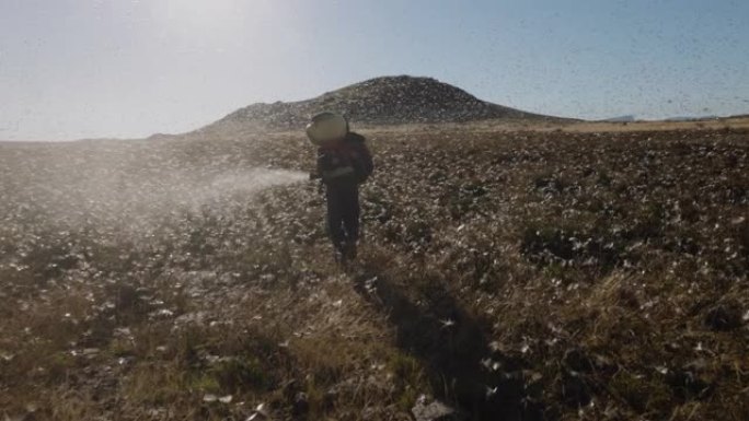 慢动作。黑人农民在数以百万计的棕色蝗虫群上行走和喷洒杀虫剂，使非洲的农作物与全球变暖，气候变化，气候