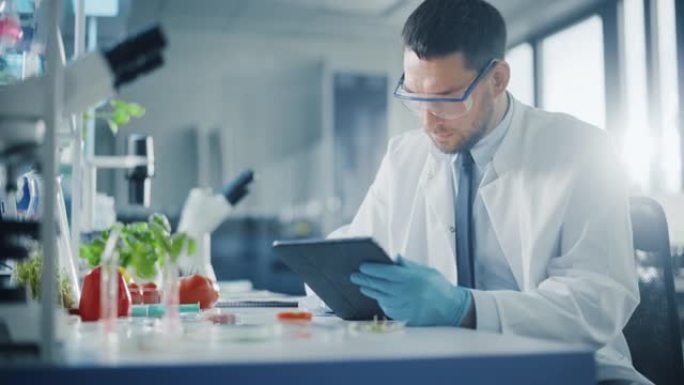 男性微生物学家用平板电脑看着实验室培养的纯素食肉样品。在现代食品科学实验室中研究植物性牛肉替代品的医