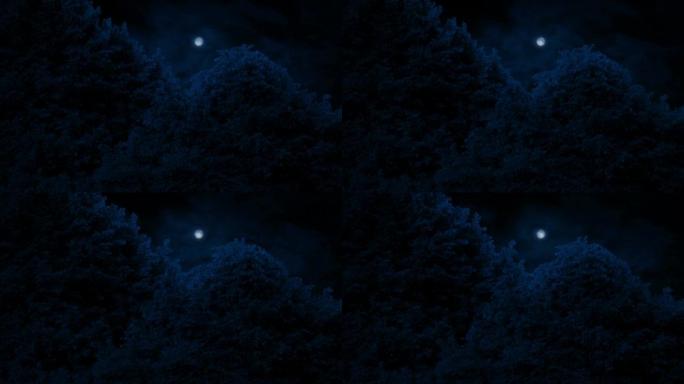 月亮在多风的夜晚照亮树顶