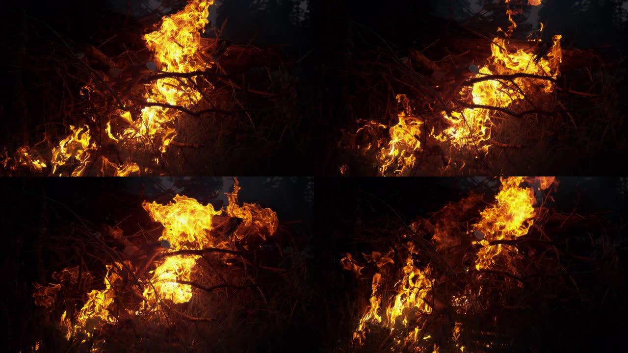 特写: 炽热的篝火在漆黑的夜晚吞没了一堆柴火。