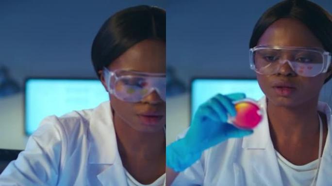 一位年轻美丽的非洲裔美国微生物学家在一个现代化的实验室里用培养皿工作