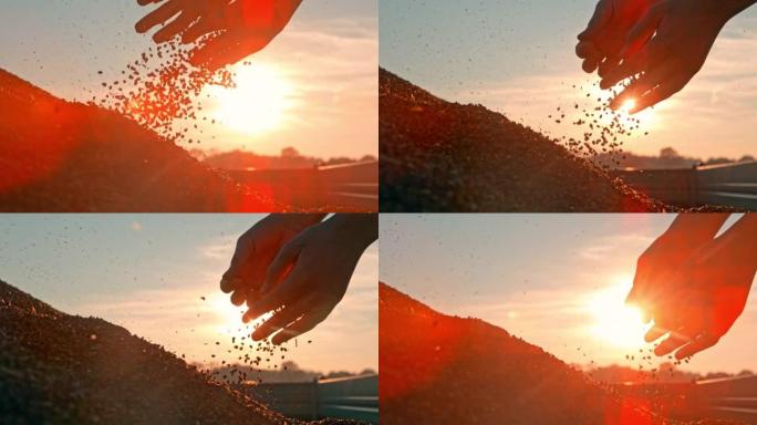 时间扭曲效应农民在日落时在拖车上检查荞麦种子