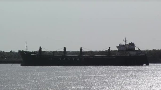 阿根廷主要谷物出口枢纽罗萨里奥谷物港的散货船。