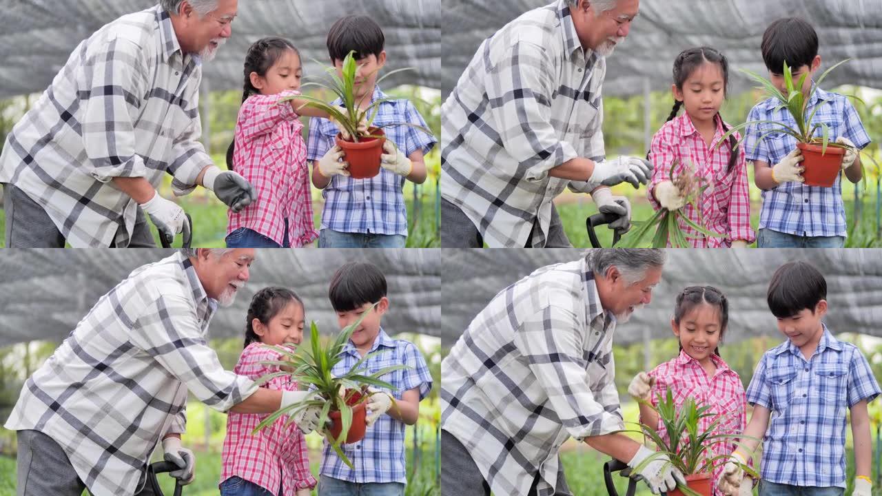 70岁的亚洲祖父与孙女和孙子一起教种花，教孩子们关于可持续发展的概念。