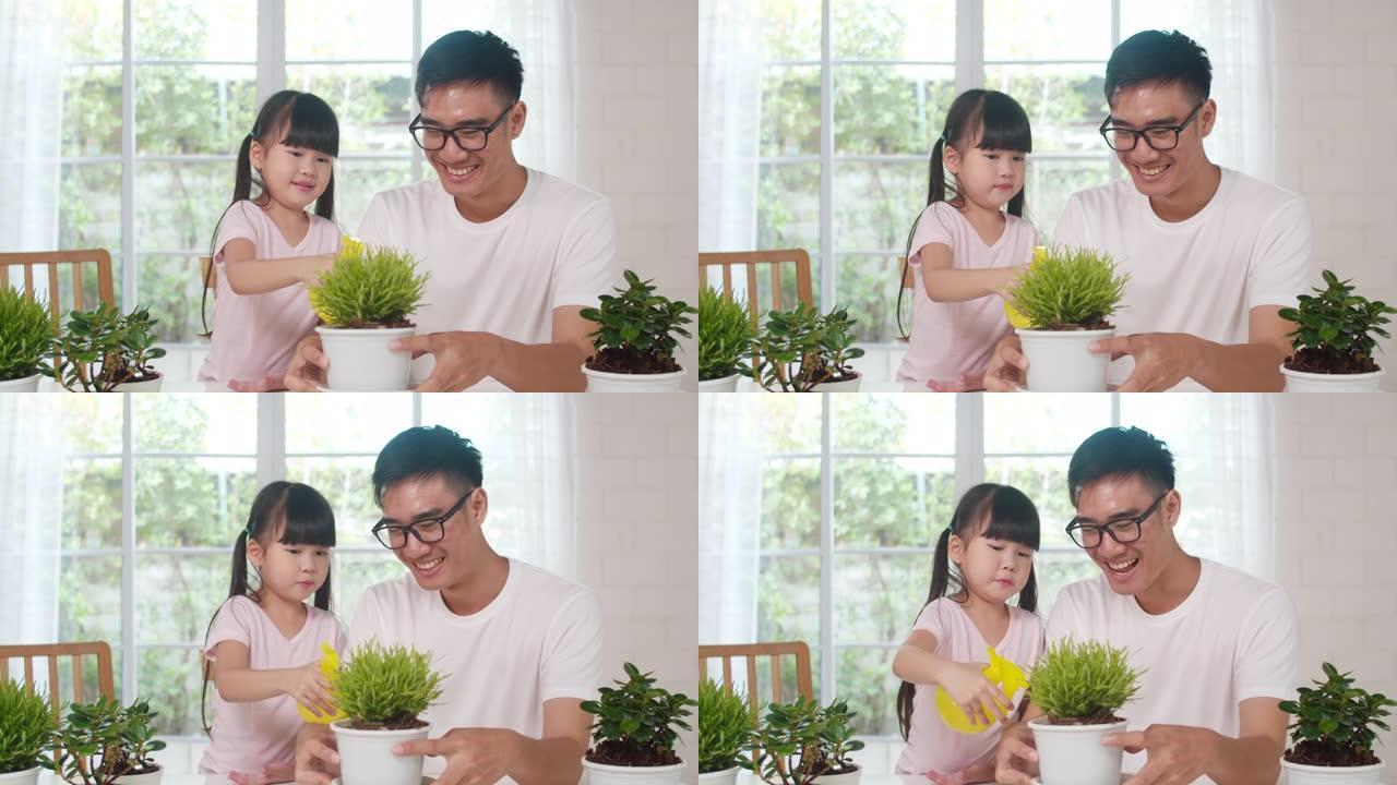 快乐快乐的亚洲家庭爸爸和女儿在家里窗户附近的园艺植物上浇水。