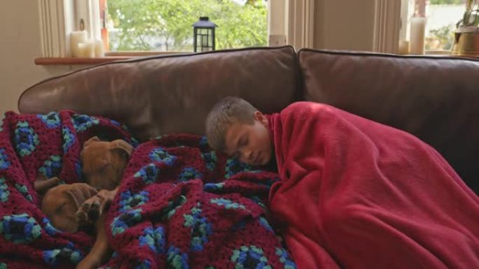 4k视频片段，一个小男孩在家中与他的脊背幼犬小睡