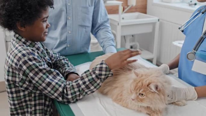 爸爸带着儿子向兽医展示他们的猫