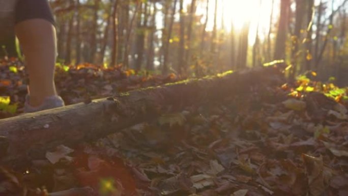 低角度: 在秋天的彩色树林中奔跑的女人步道在原木上绊倒。