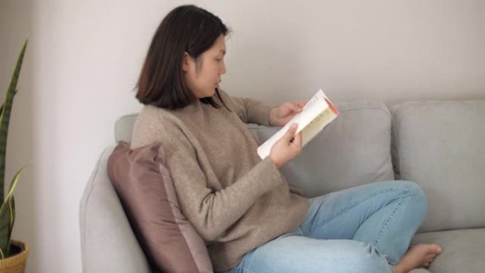 女人在家客厅看书女人在家客厅看书读书