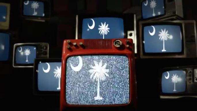 南卡罗来纳州的旗帜和老式电视机。