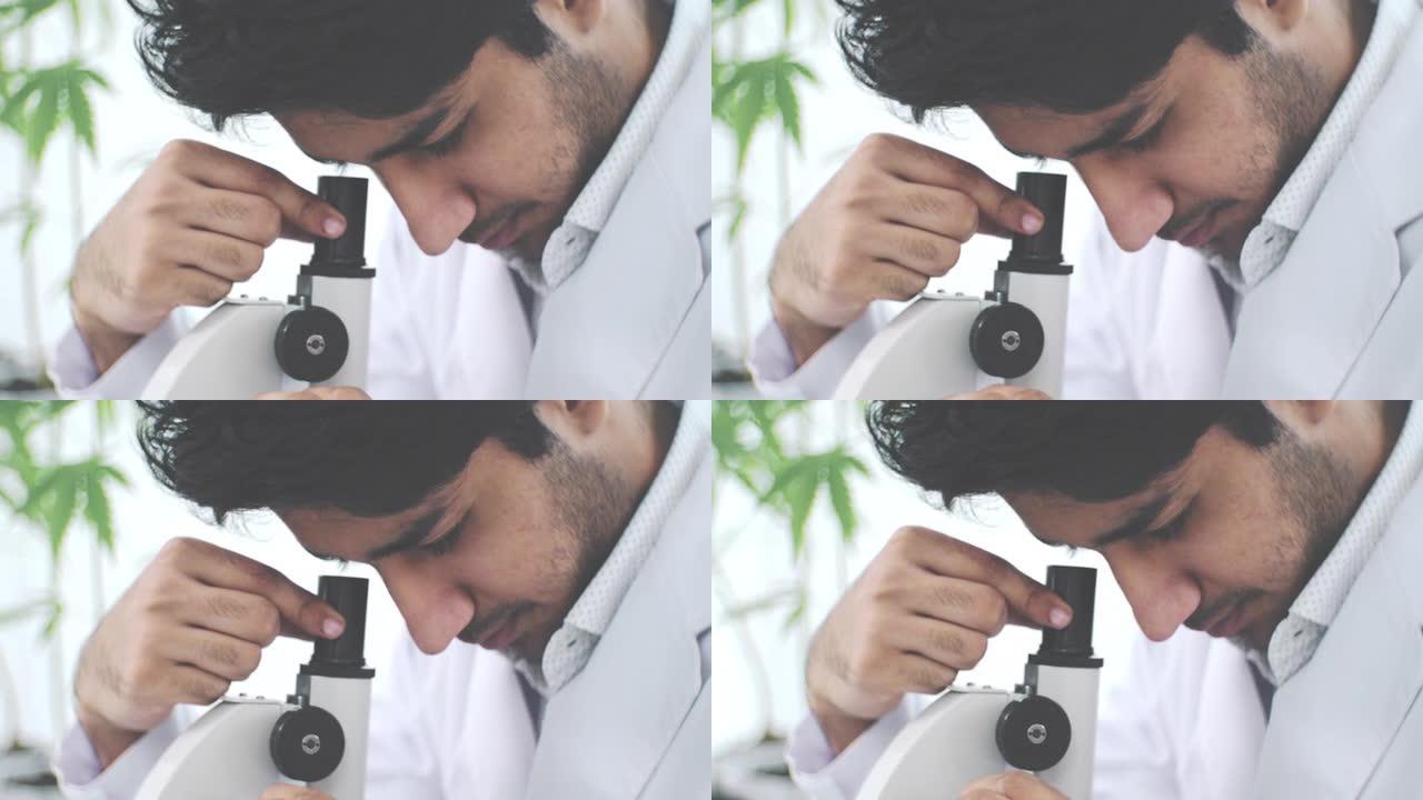 印度科学家/使用显微镜