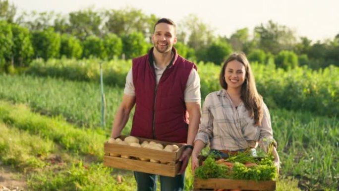 菜盒，农业和农民夫妇在农村生活方式，食品市场生产和供应链中的肖像。拥有绿色农产品收获的农业企业主、卖