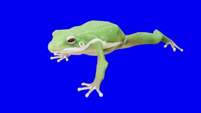 在蓝箱上行走绿色青蛙。动物的概念，野生动物，游戏，返校，3d动画，短视频，电影，卡通，有机，色键，人
