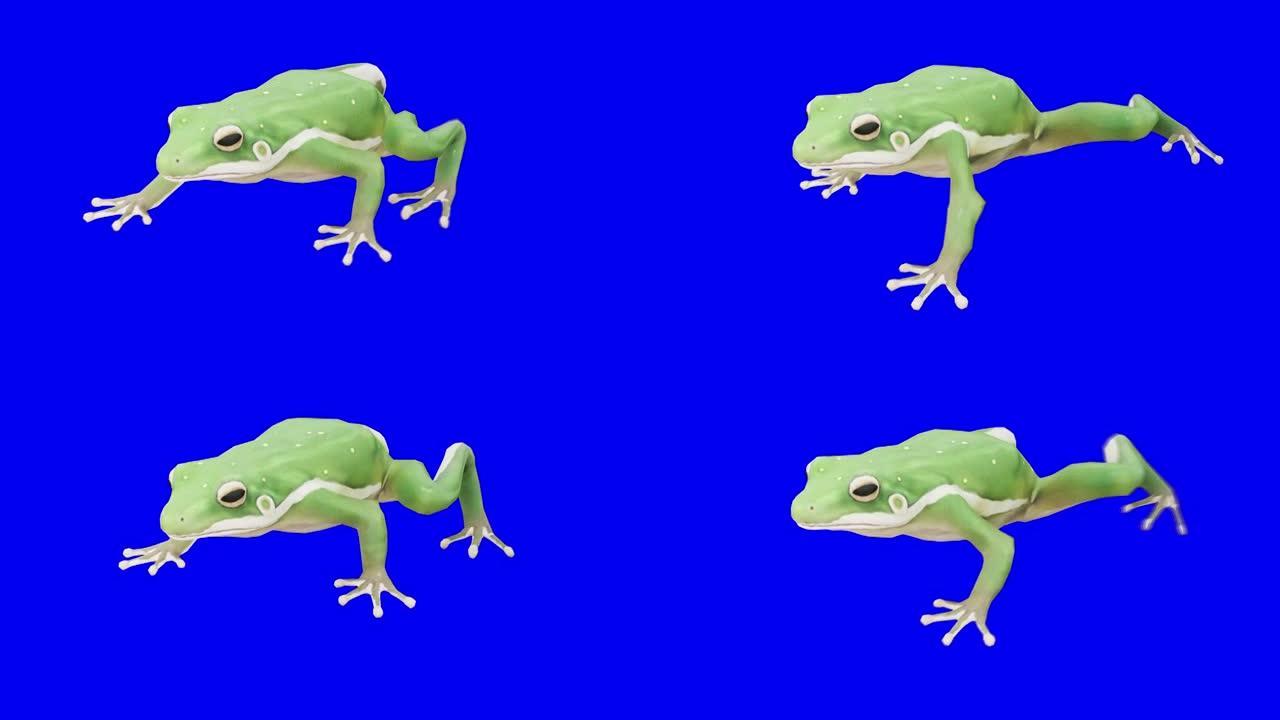 在蓝箱上行走绿色青蛙。动物的概念，野生动物，游戏，返校，3d动画，短视频，电影，卡通，有机，色键，人