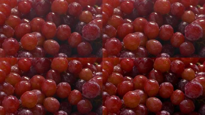 细水喷雾中的红葡萄使它们保持新鲜