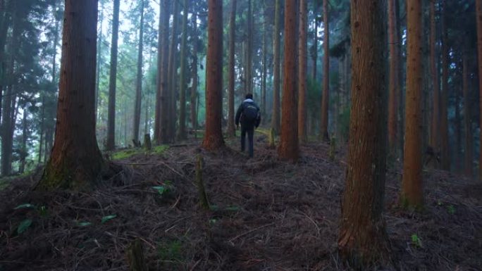 在森林中行走的人背包客户外艰难森林