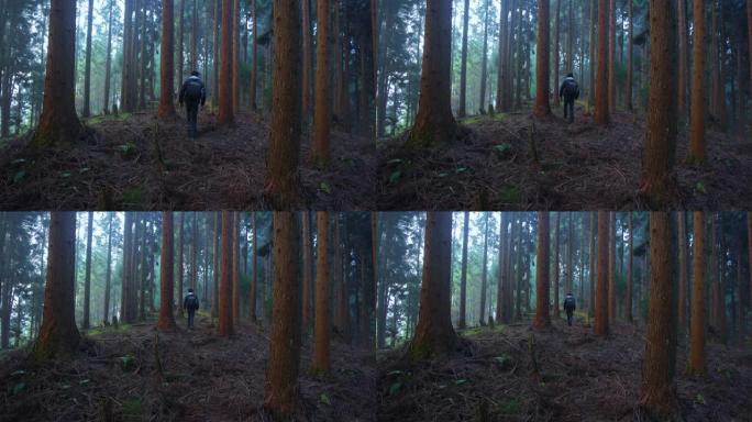 在森林中行走的人背包客户外艰难森林