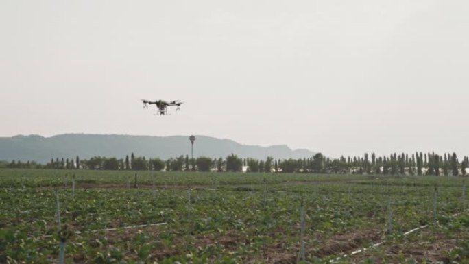 农业无人机飞向稻田喷洒肥料