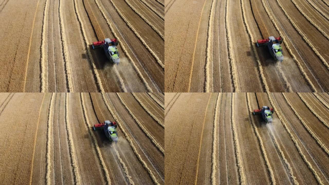 收获大麦的时间丰收收割农业器械