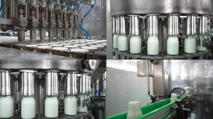 牛奶工厂酸奶灌装加工过程