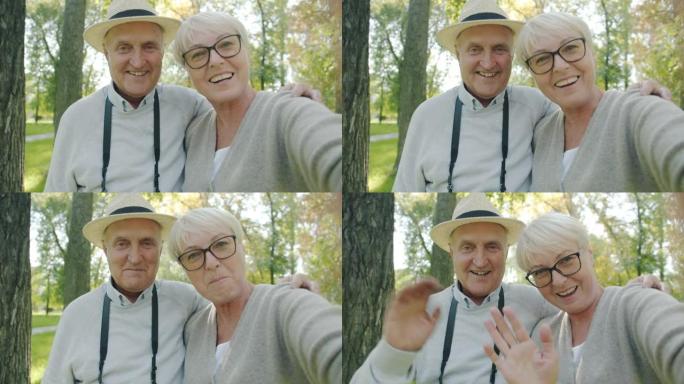 POV肖像开朗的夫妇老年人从公园看相机打在线视频电话