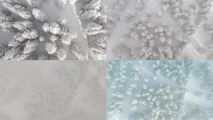 无人机拍摄积雪覆盖的树木