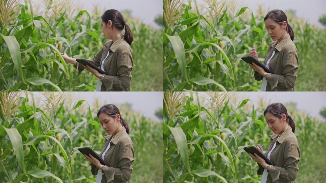 农民使用数字平板电脑