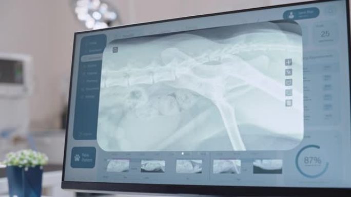 桌面计算机屏幕与兽医诊所在线医疗数据库软件与许多Pet x射线扫描可能的骨折。带有宠物信息的数字显示