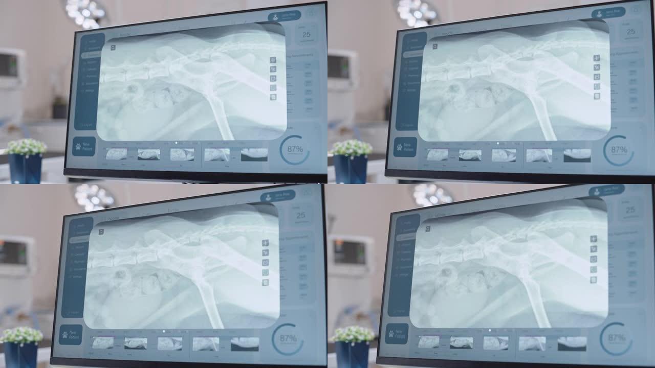 桌面计算机屏幕与兽医诊所在线医疗数据库软件与许多Pet x射线扫描可能的骨折。带有宠物信息的数字显示
